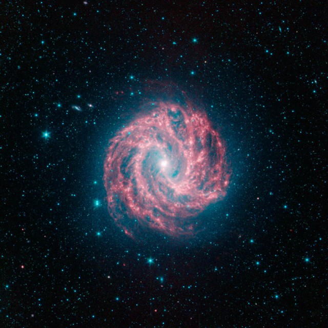 This spectacular spiral galaxy is known to astronomers as Messier 83. Colloquially, it is also called  the “Southern Pinwheel” due to its similarity to the more northerly “Pinwheel” galaxy Messier 101. NASA’s Spitzer Space Telescope shows us, in